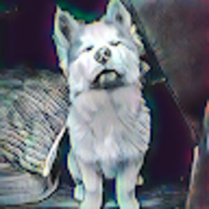 Meet your Posher, Aaron